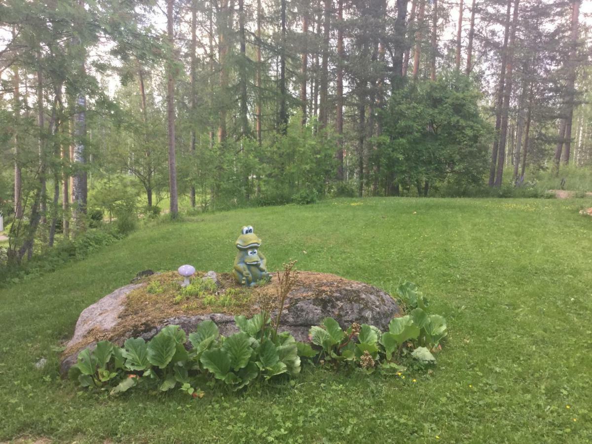 Mini-Mani Northern House Sorsakoski المظهر الخارجي الصورة