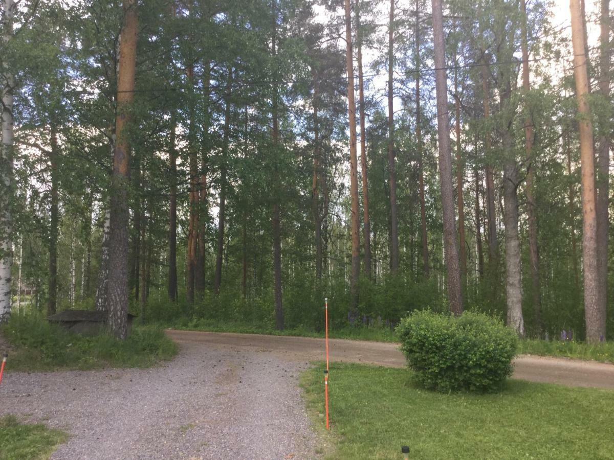 Mini-Mani Northern House Sorsakoski المظهر الخارجي الصورة