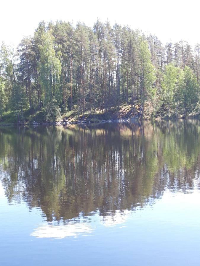 Mini-Mani Northern House Sorsakoski المظهر الخارجي الصورة